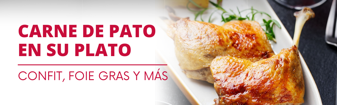 BANNER Pato